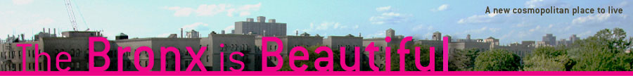 The Bronx is Beautiful